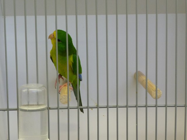 p1040730